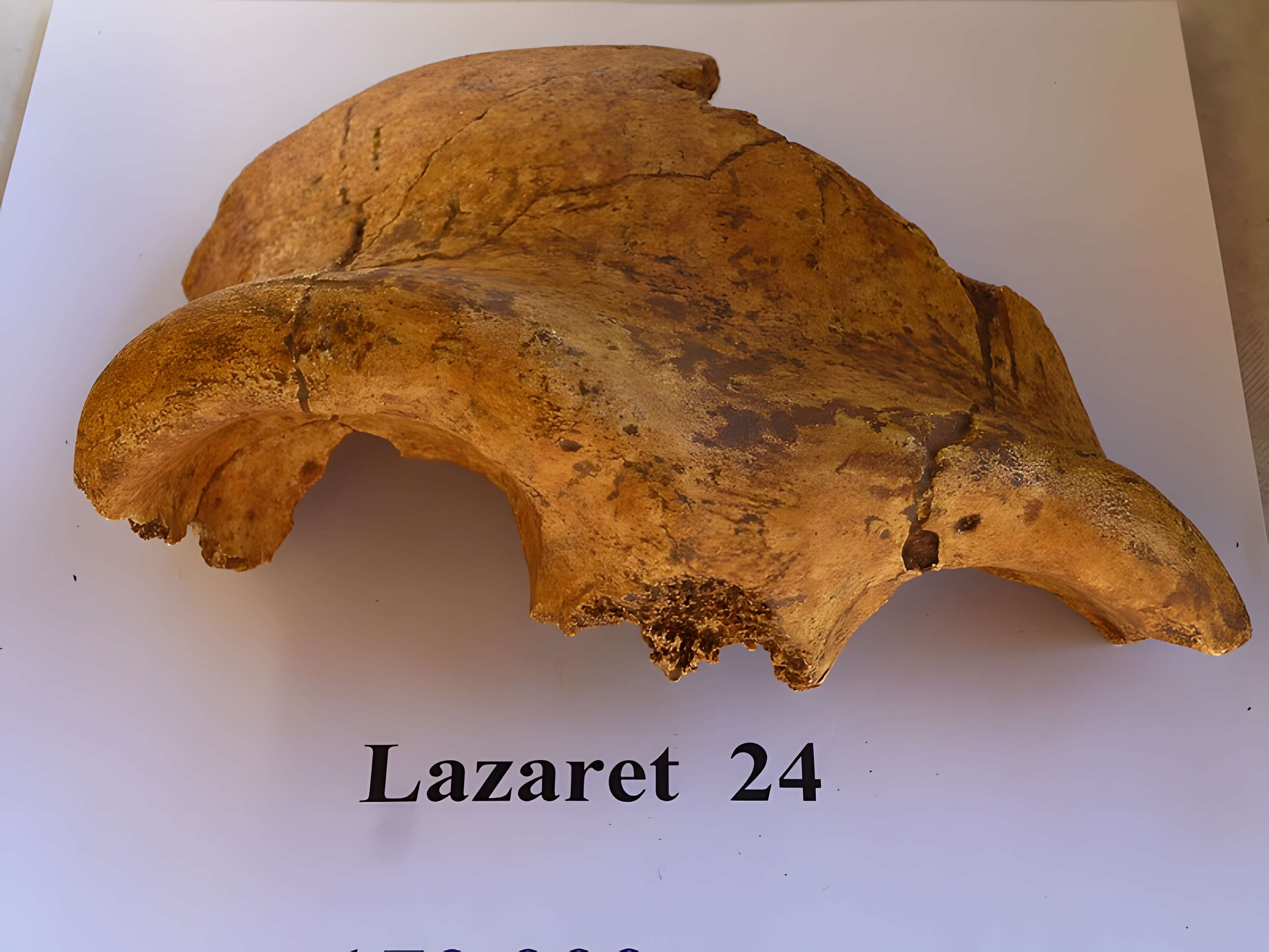 Grotte du Lazaret de Nice