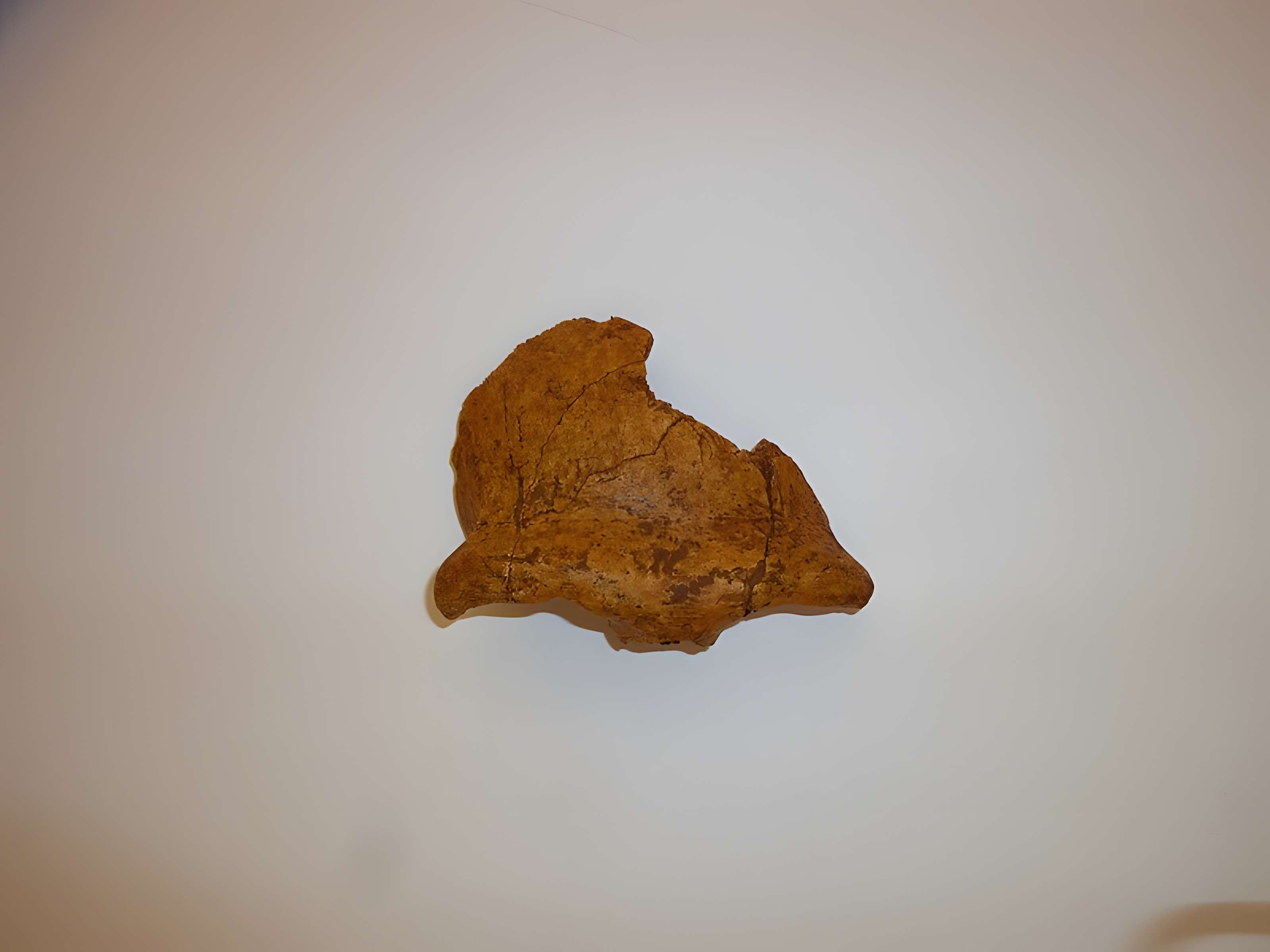 Grotte du Lazaret de Nice