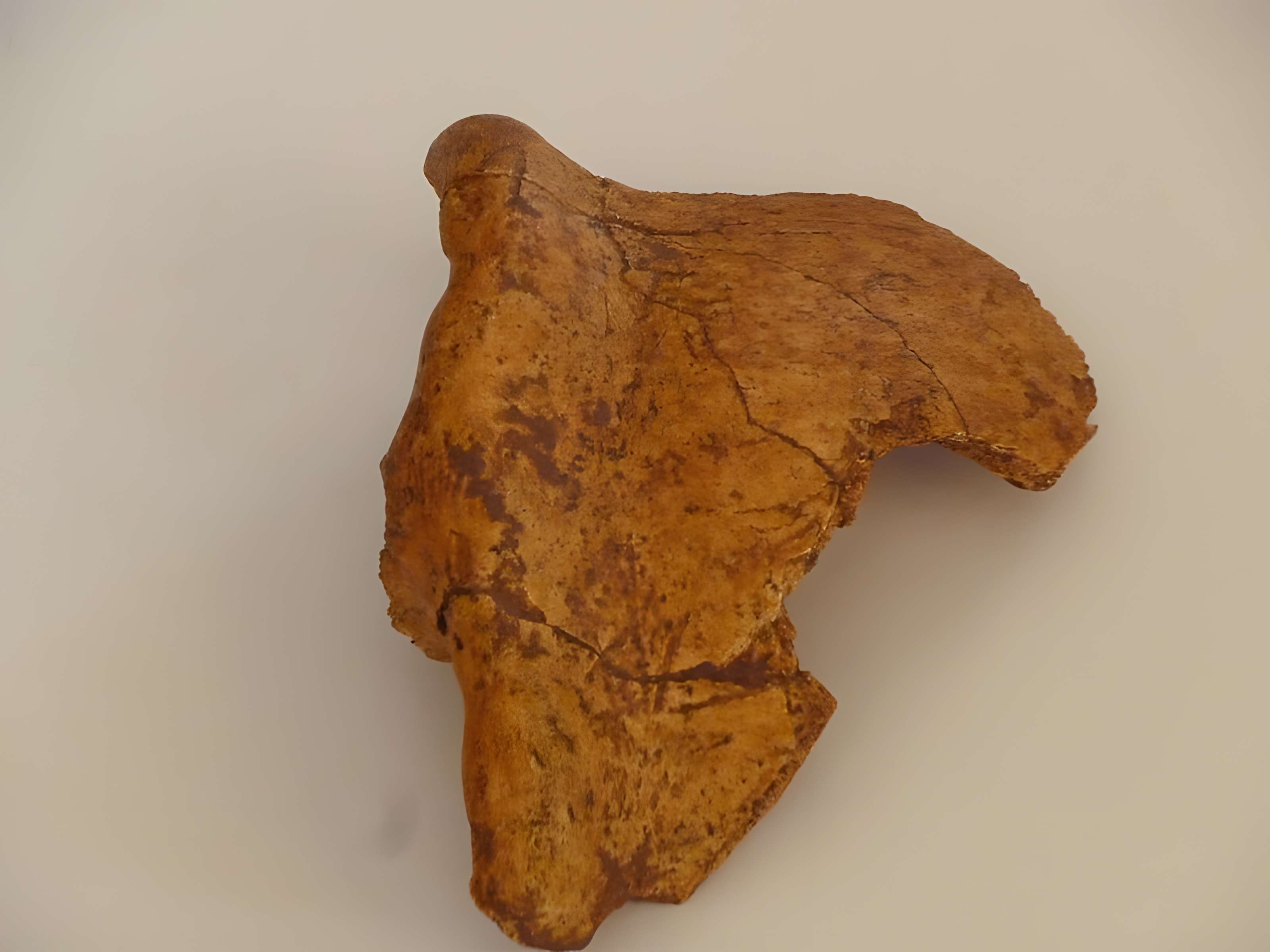 Grotte du Lazaret de Nice