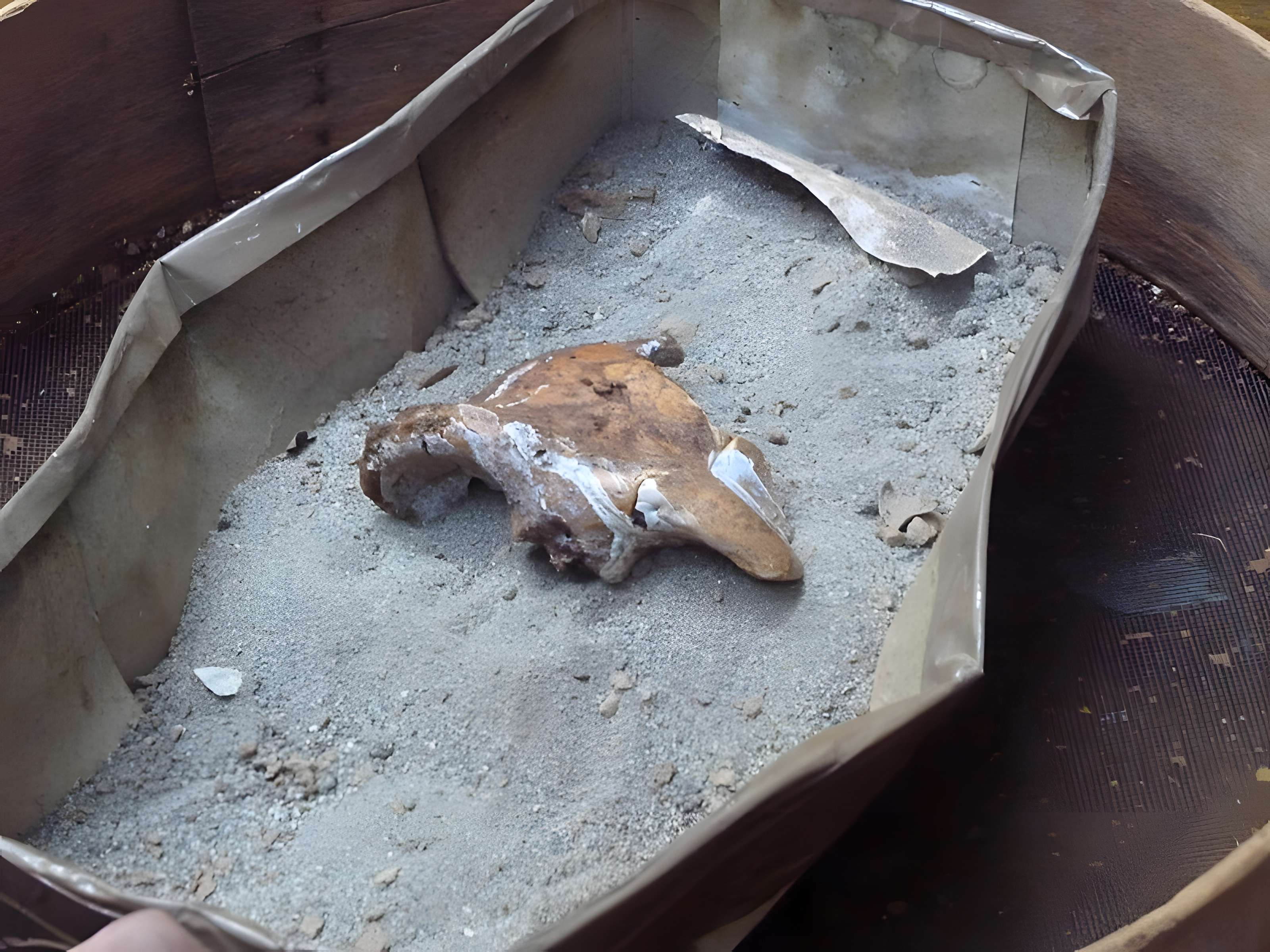 Grotte du Lazaret de Nice