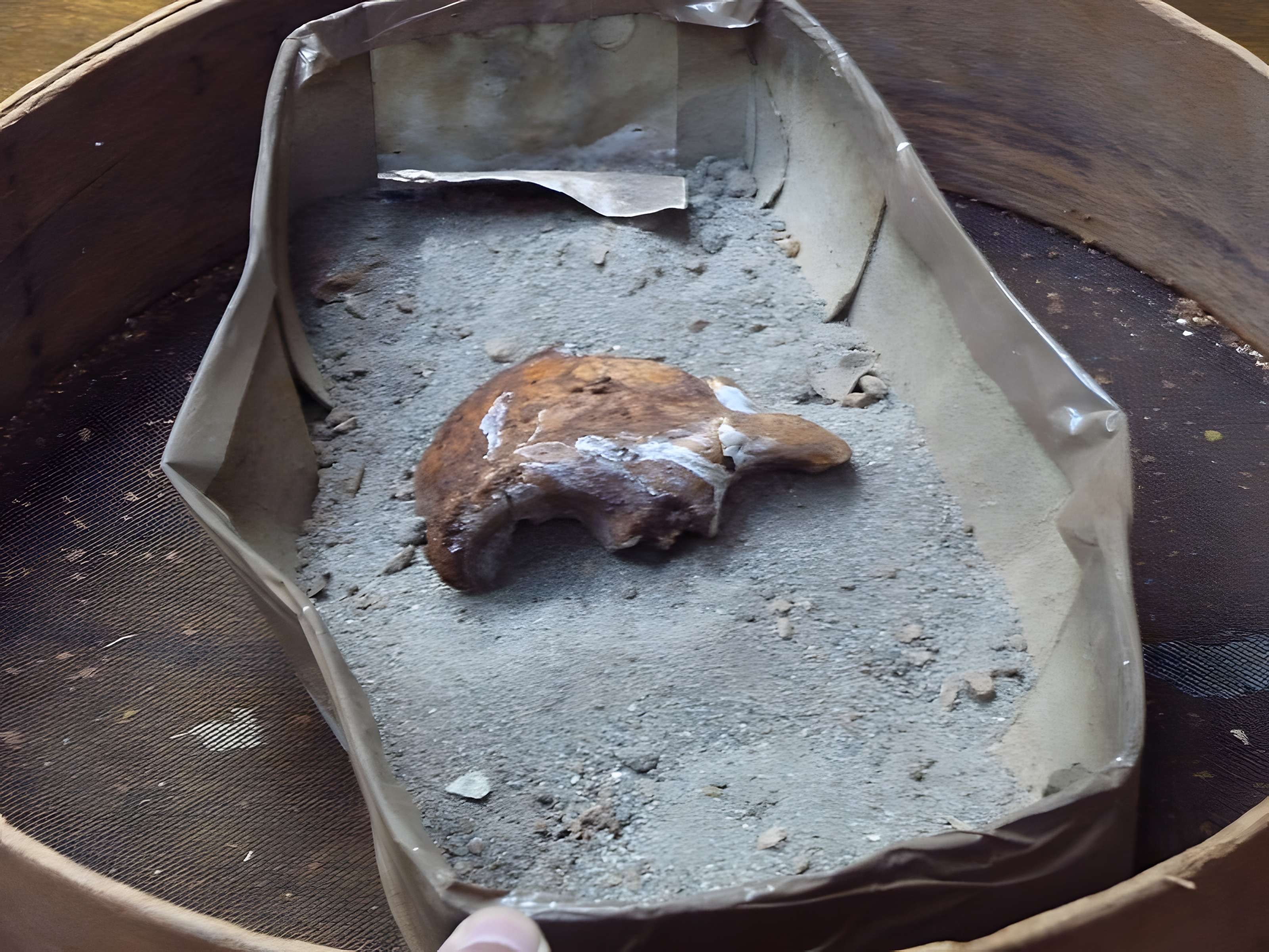 Grotte du Lazaret de Nice