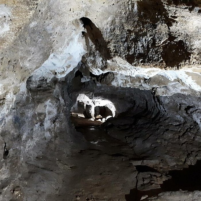 Photo de Grotte du Pape à Brassempouy