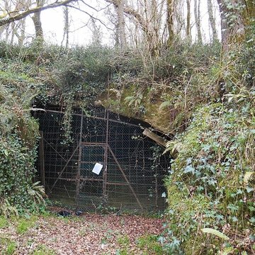 Grotte du Pape à Brassempouy