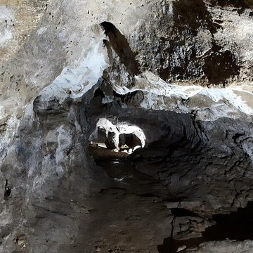 Grotte du Pape à Brassempouy