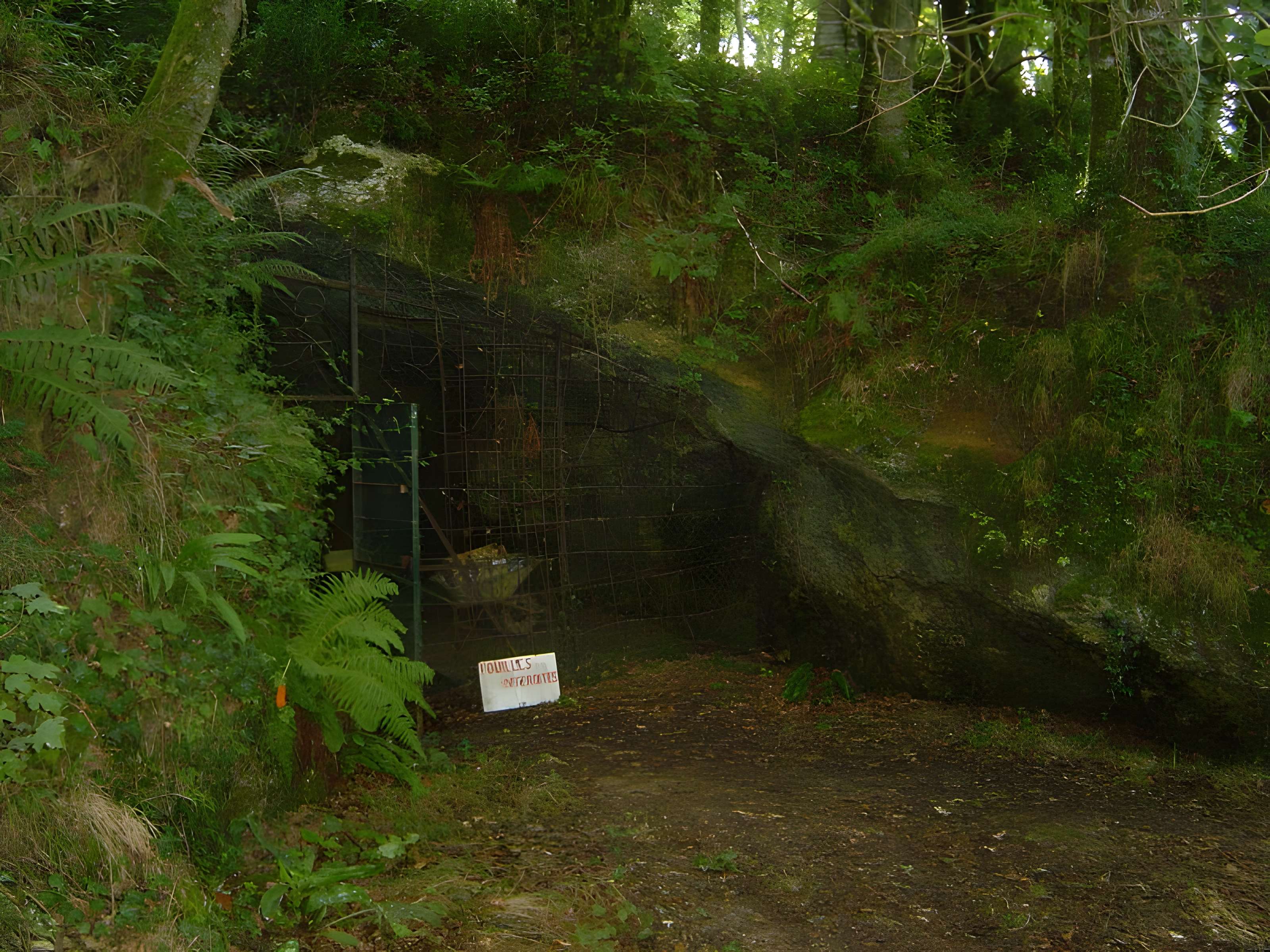 Grotte du Pape à Brassempouy 