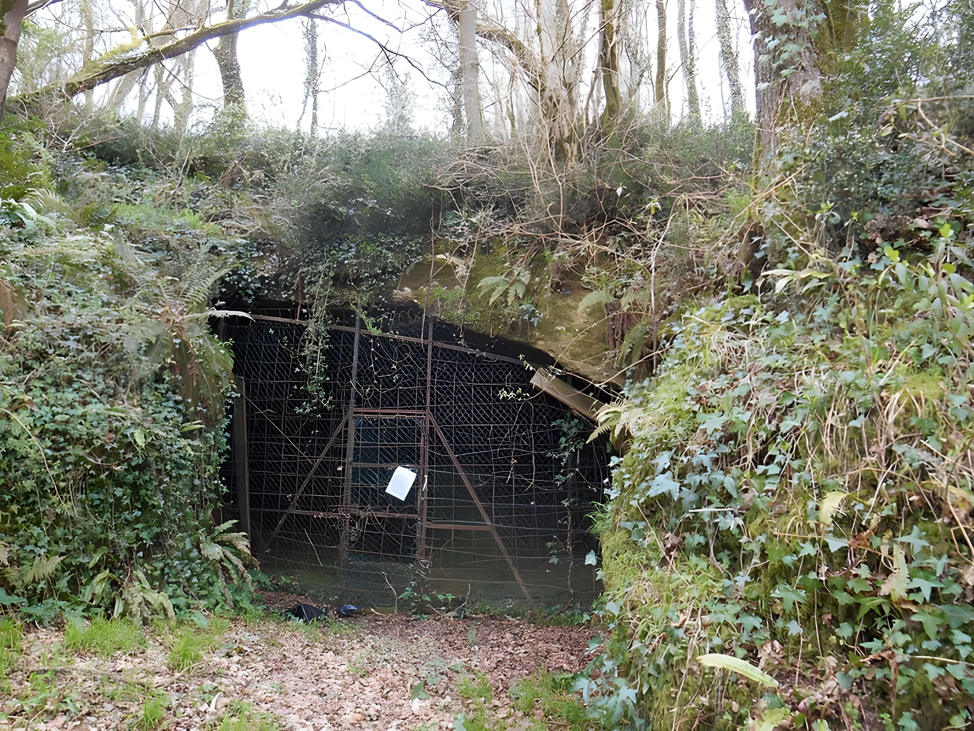 Grotte du Pape à Brassempouy