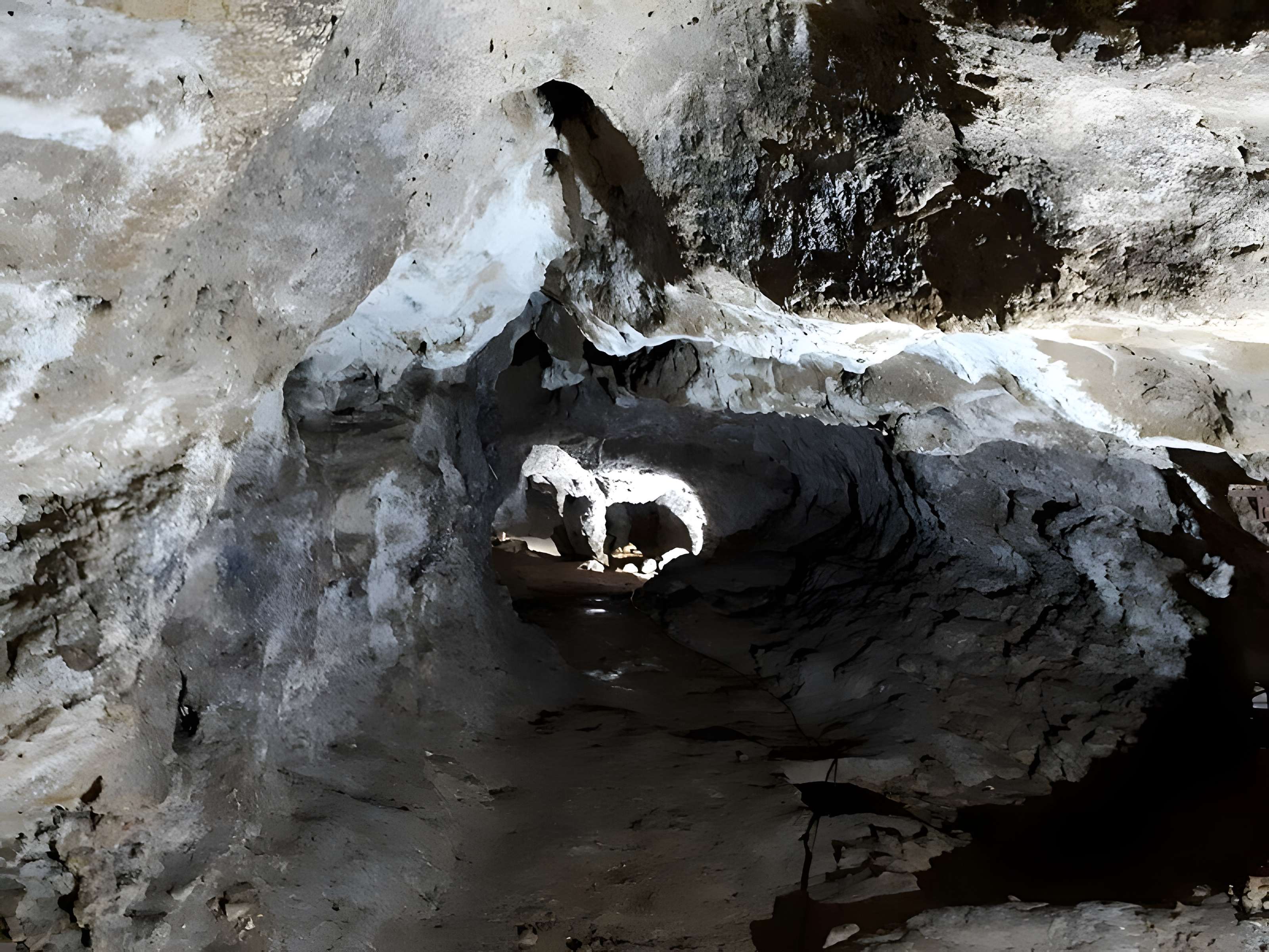 Grotte du Pape à Brassempouy