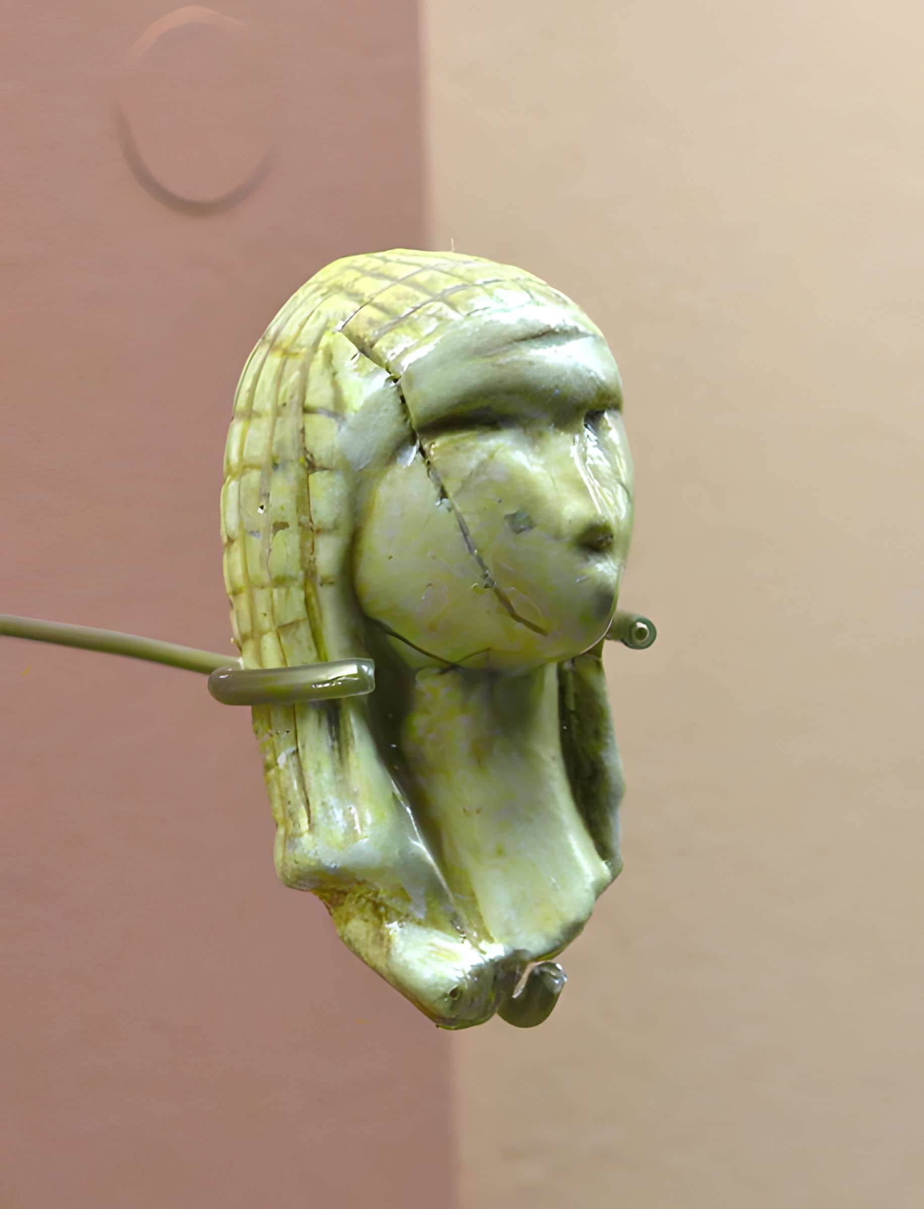 Grotte du Pape à Brassempouy