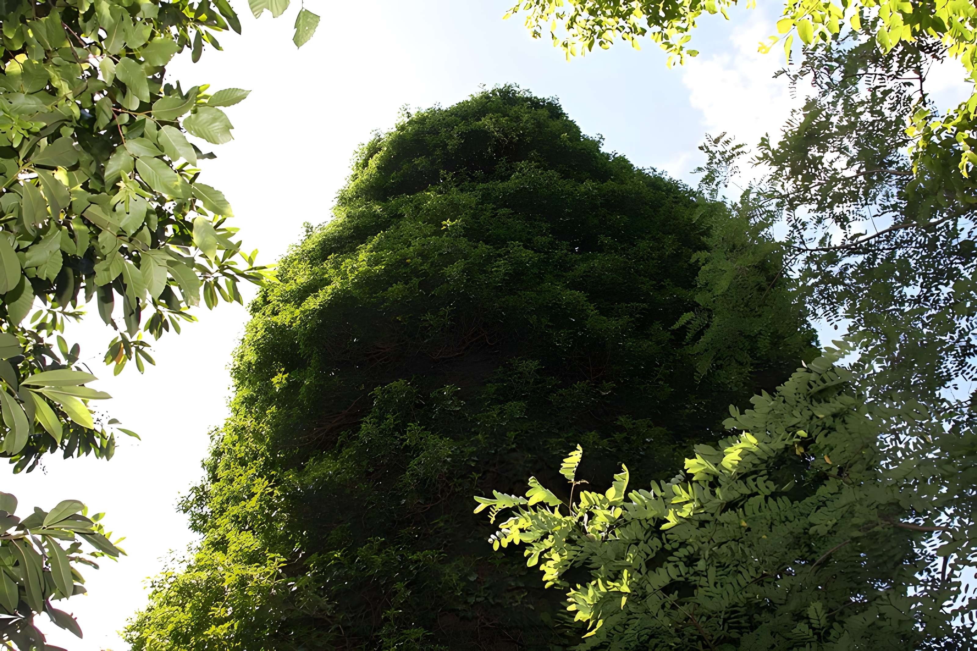 Aqueduc gallo-romain de l'Yzeron