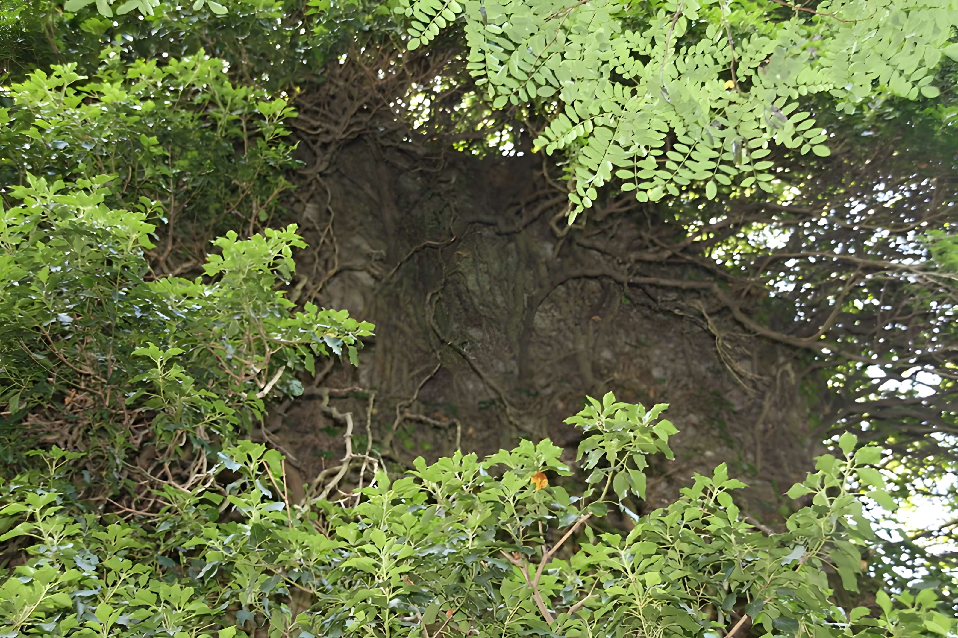 Aqueduc gallo-romain de l'Yzeron