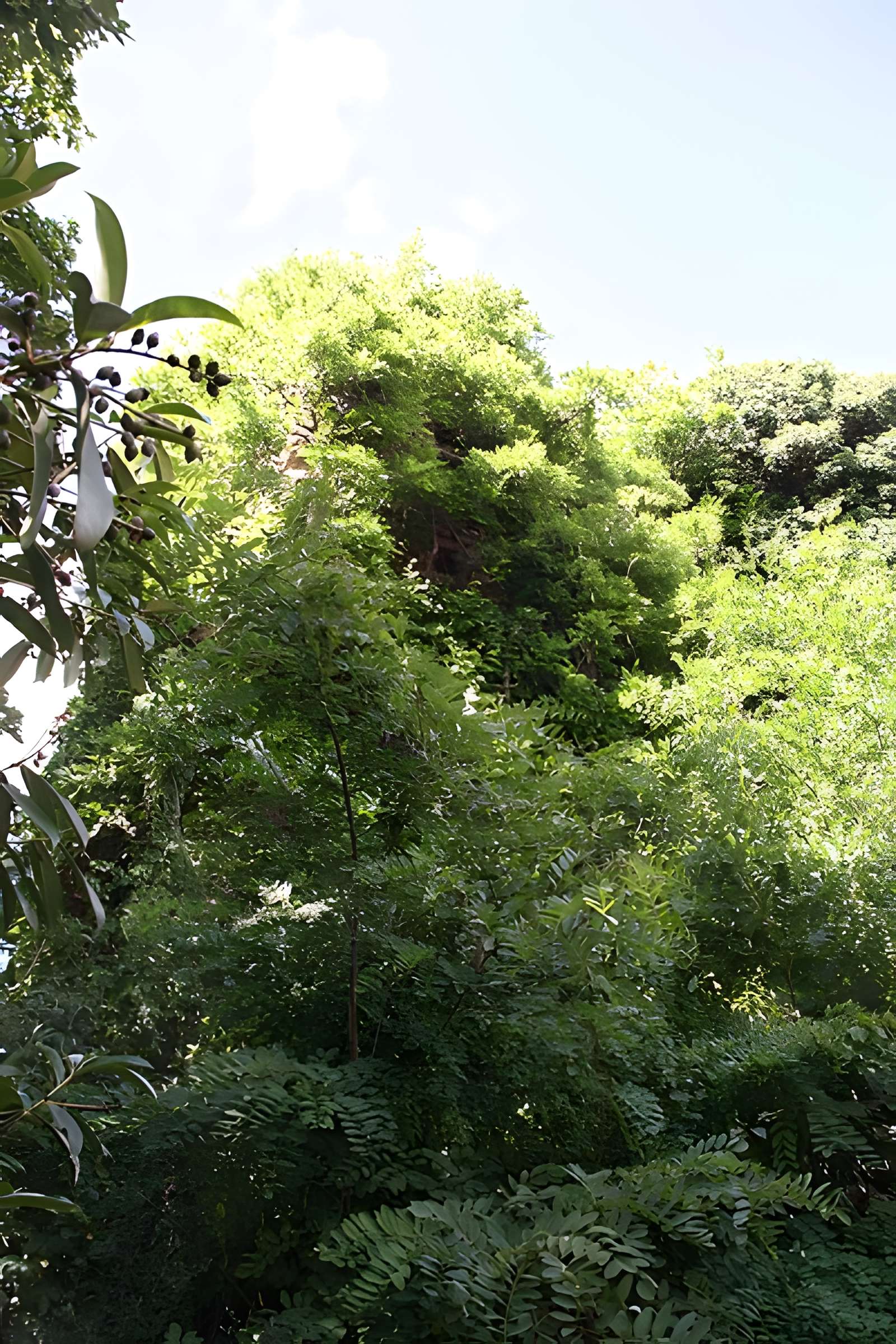 Aqueduc gallo-romain de l'Yzeron