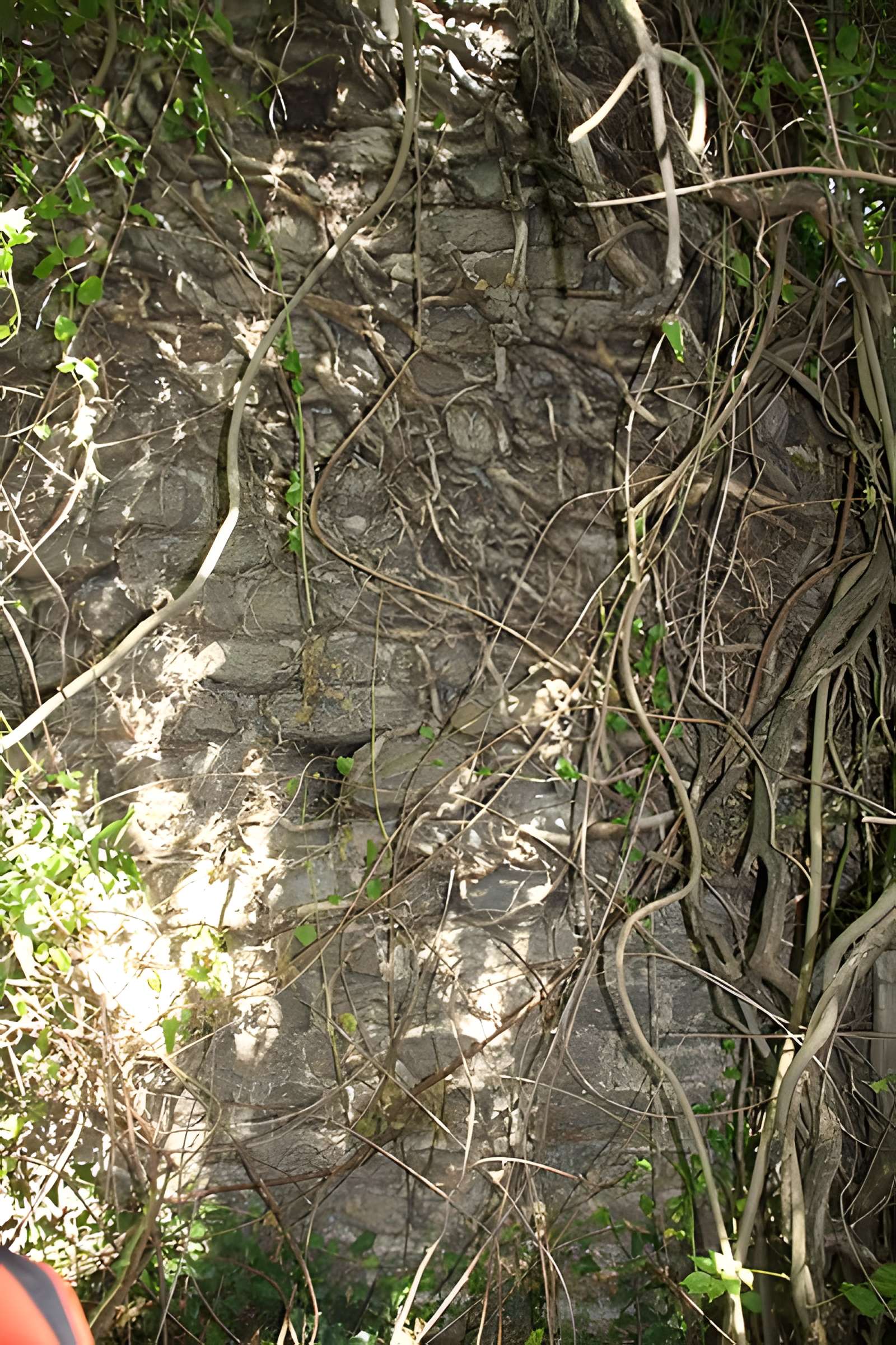 Aqueduc gallo-romain de l'Yzeron