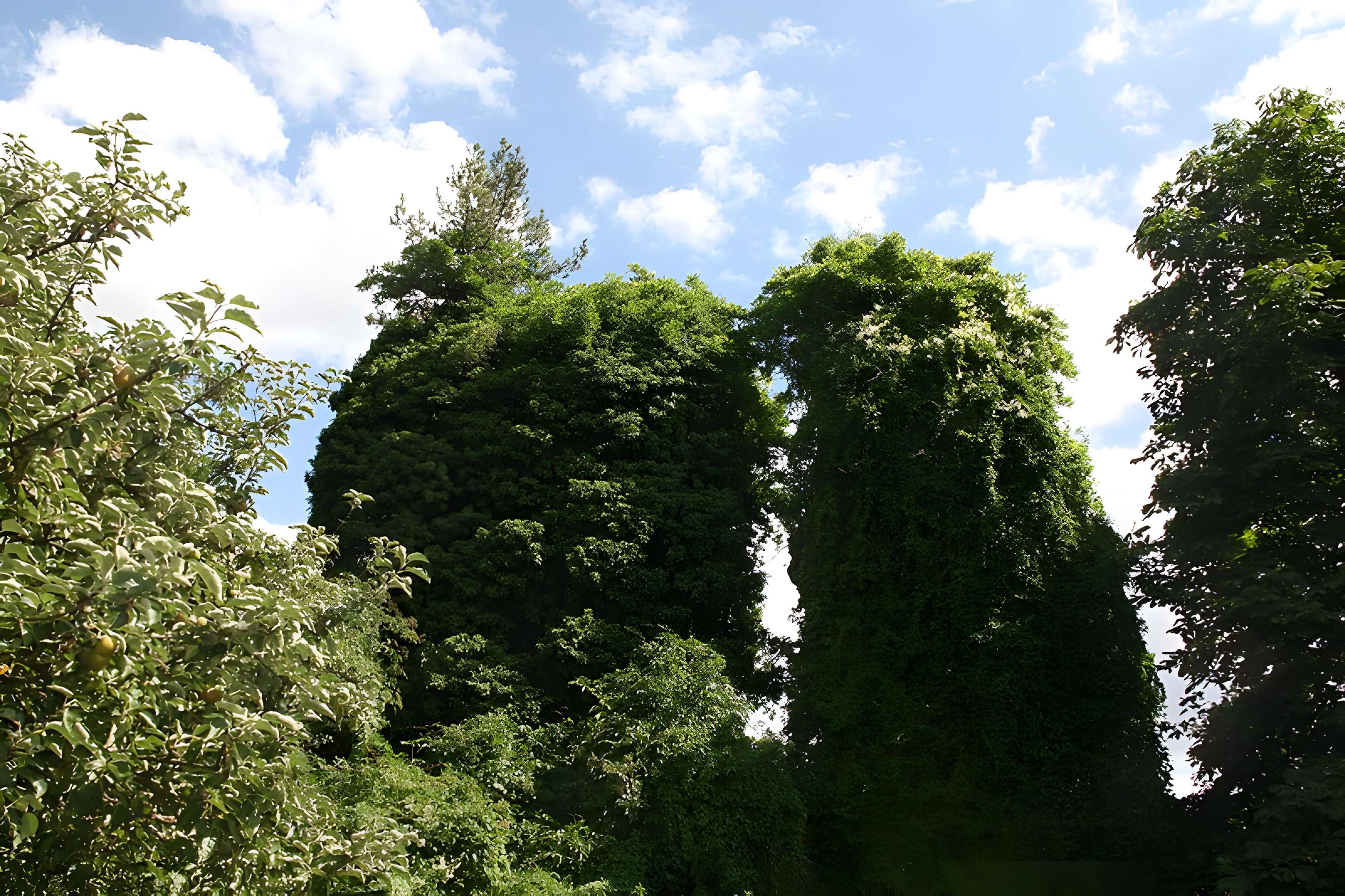 Aqueduc gallo-romain de l'Yzeron