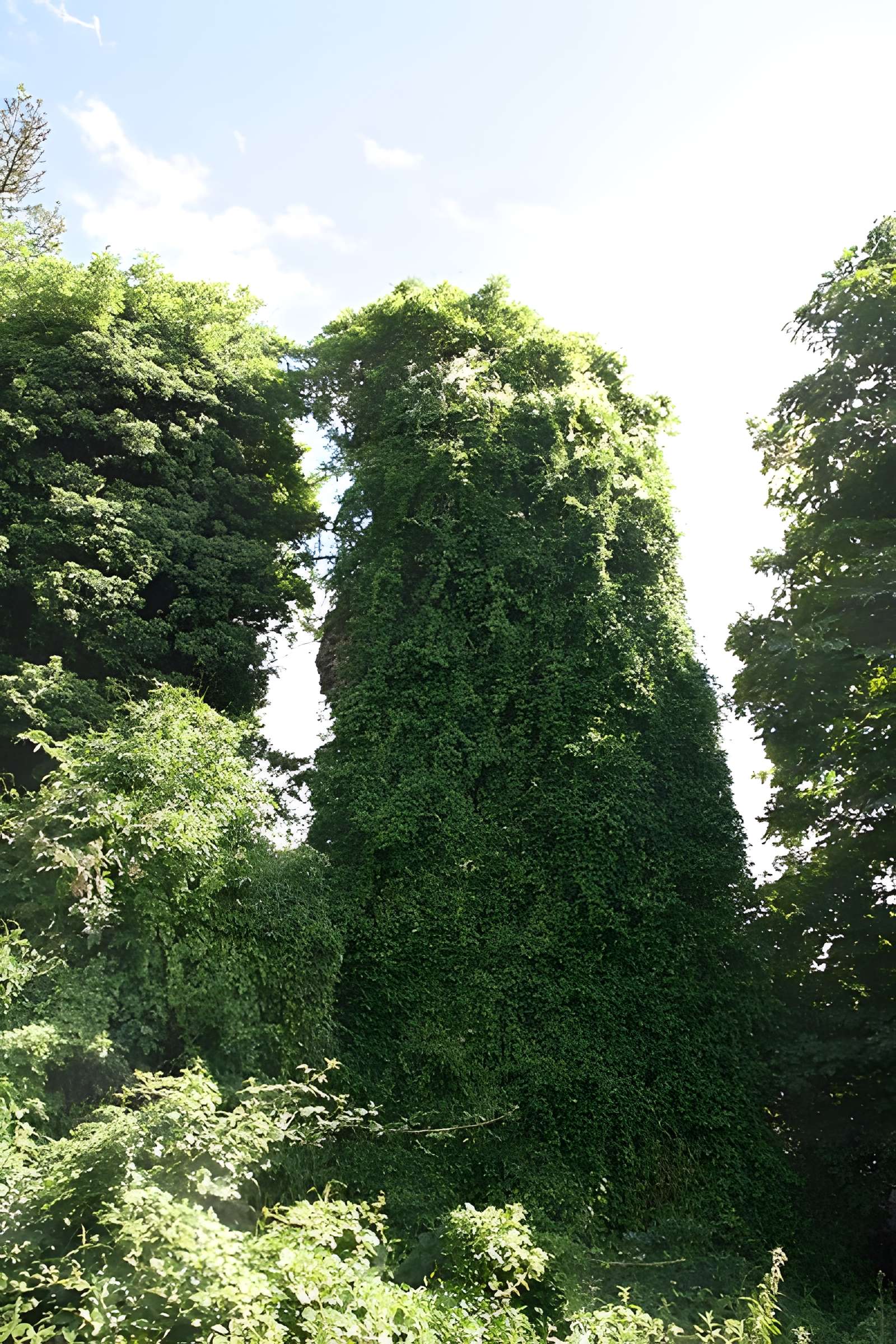 Aqueduc gallo-romain de l'Yzeron
