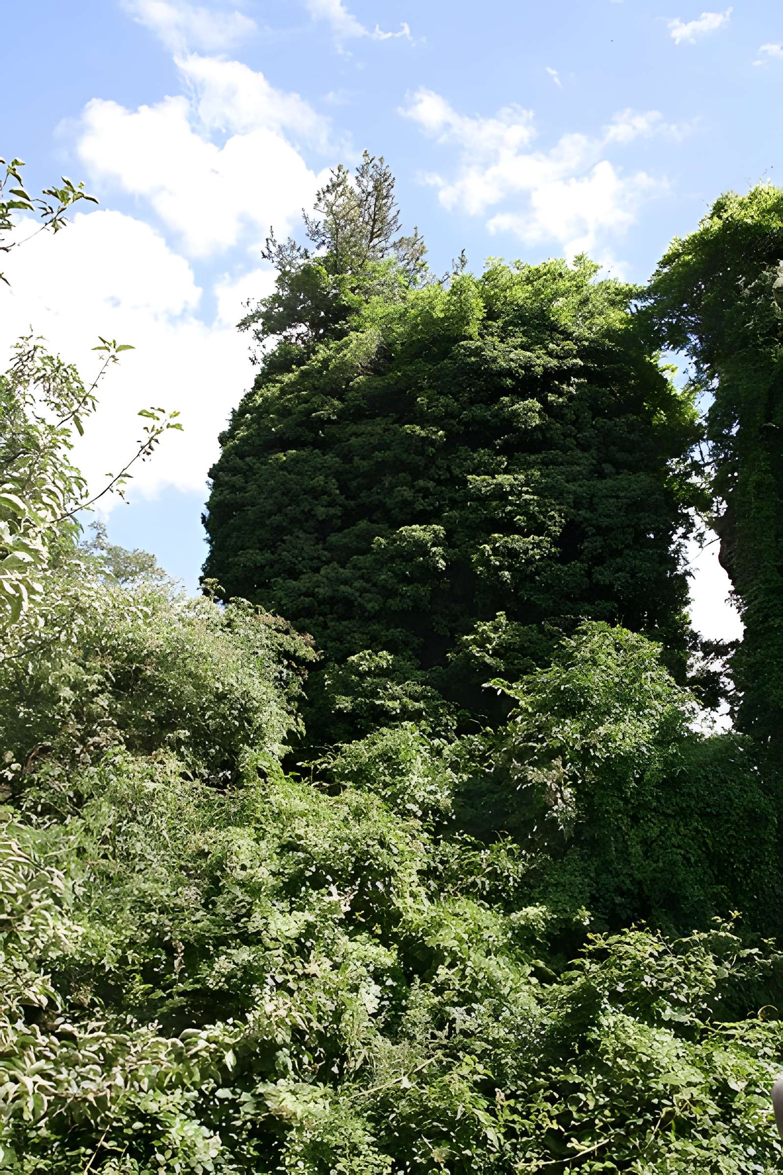 Aqueduc gallo-romain de l'Yzeron