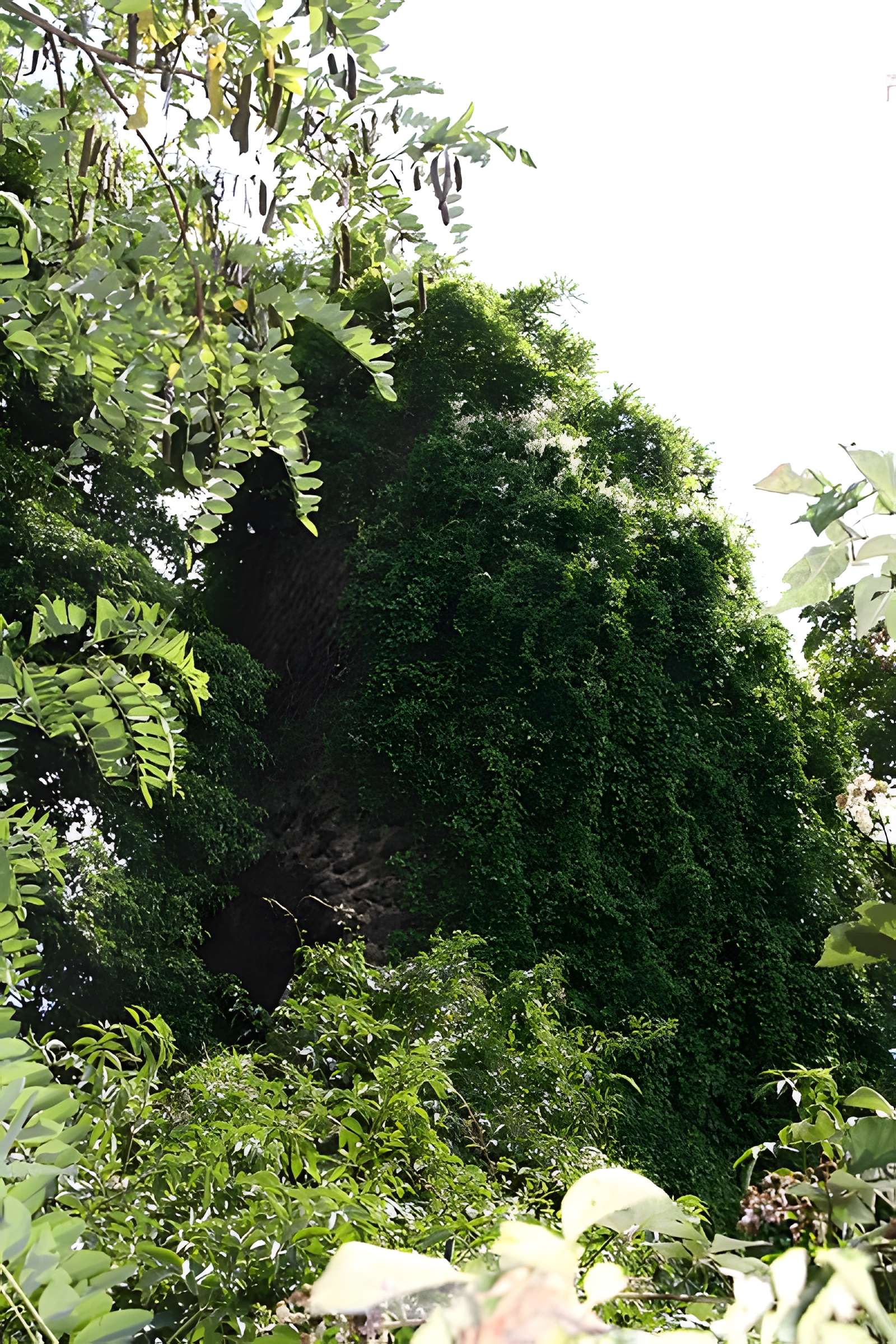 Aqueduc gallo-romain de l'Yzeron