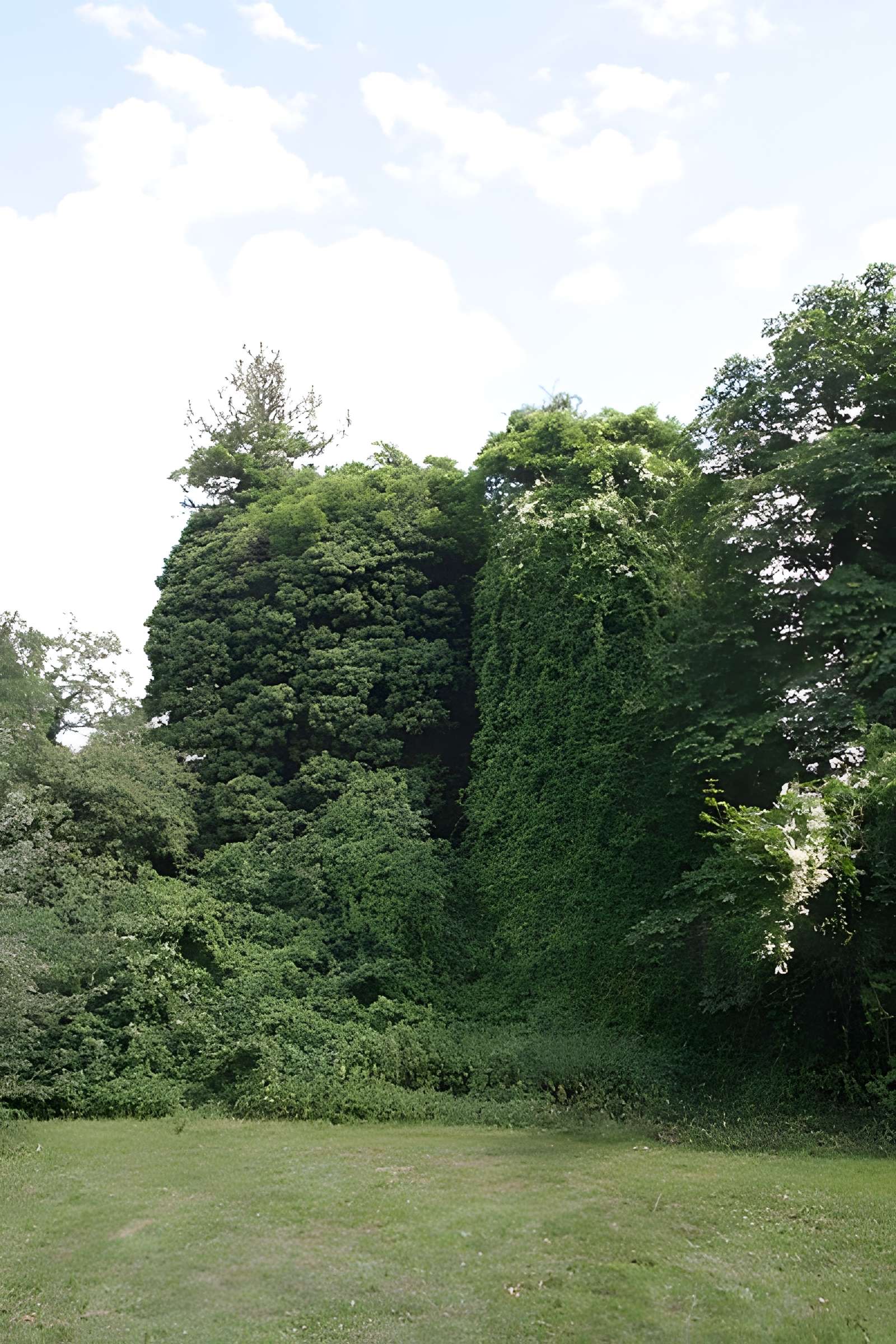 Aqueduc gallo-romain de l'Yzeron