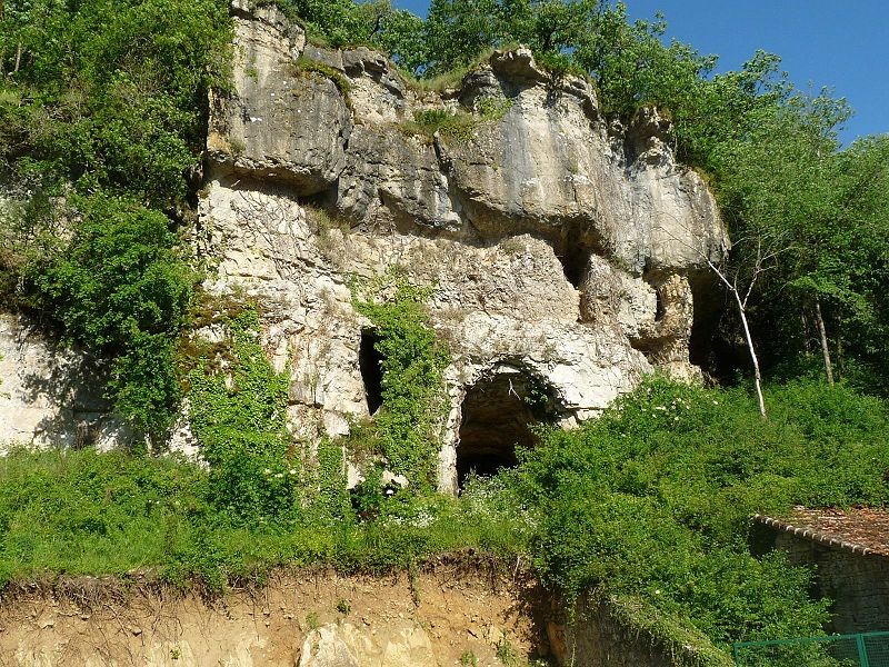 Photo de Grotte du Placard à Vilhonneur