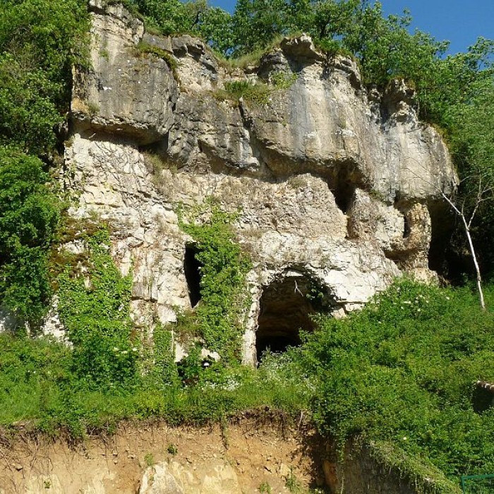 Photo de Gisement et grottes constituant labri dit du Placard