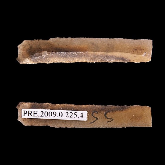 Photo de Gisement et grottes constituant labri dit du Placard