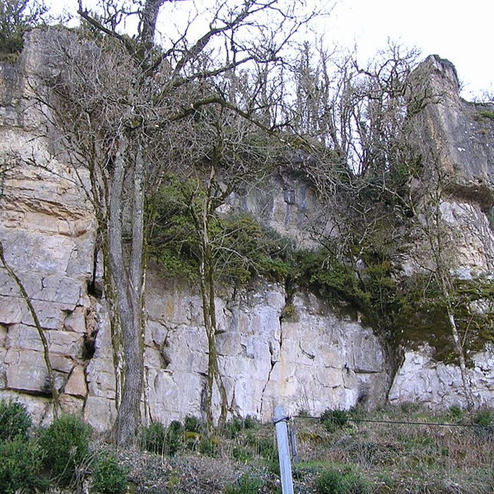 Photo de Gisement et grottes constituant labri dit du Placard