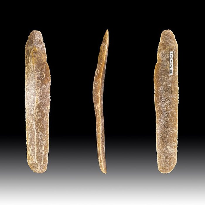 Photo de Gisement et grottes constituant labri dit du Placard