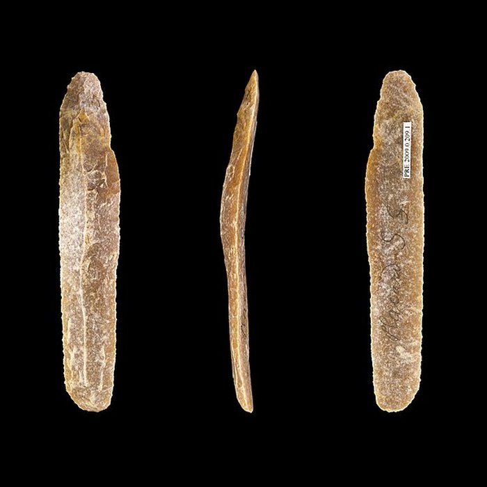 Photo de Gisement et grottes constituant labri dit du Placard