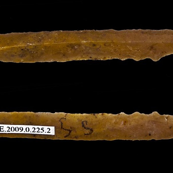 Photo de Gisement et grottes constituant labri dit du Placard