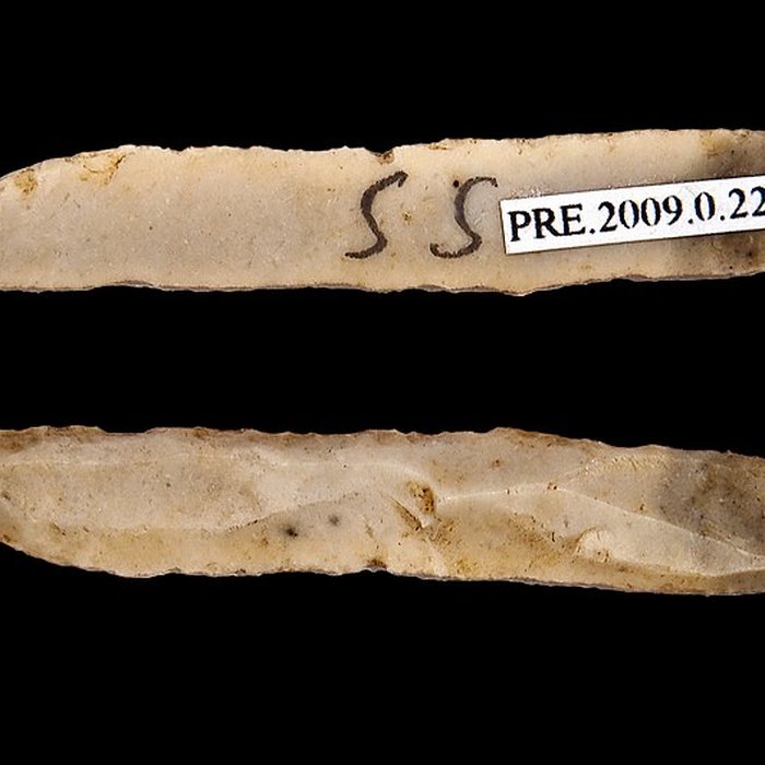 Photo de Gisement et grottes constituant labri dit du Placard