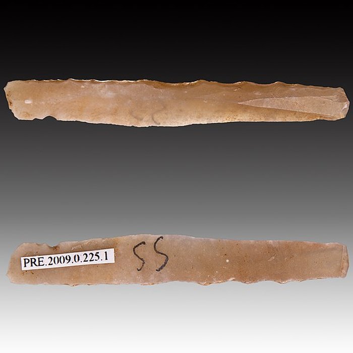 Photo de Gisement et grottes constituant labri dit du Placard