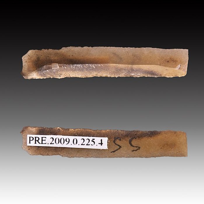 Photo de Gisement et grottes constituant labri dit du Placard