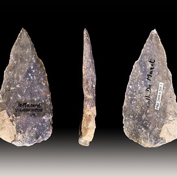 Gisement et grottes constituant labri dit du Placard