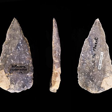 Gisement et grottes constituant labri dit du Placard