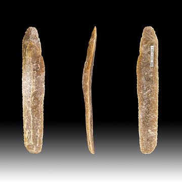 Gisement et grottes constituant labri dit du Placard