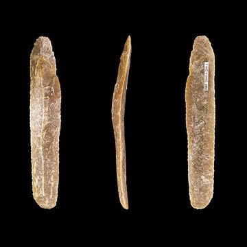 Gisement et grottes constituant labri dit du Placard