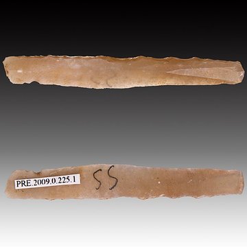 Gisement et grottes constituant labri dit du Placard