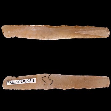 Gisement et grottes constituant labri dit du Placard