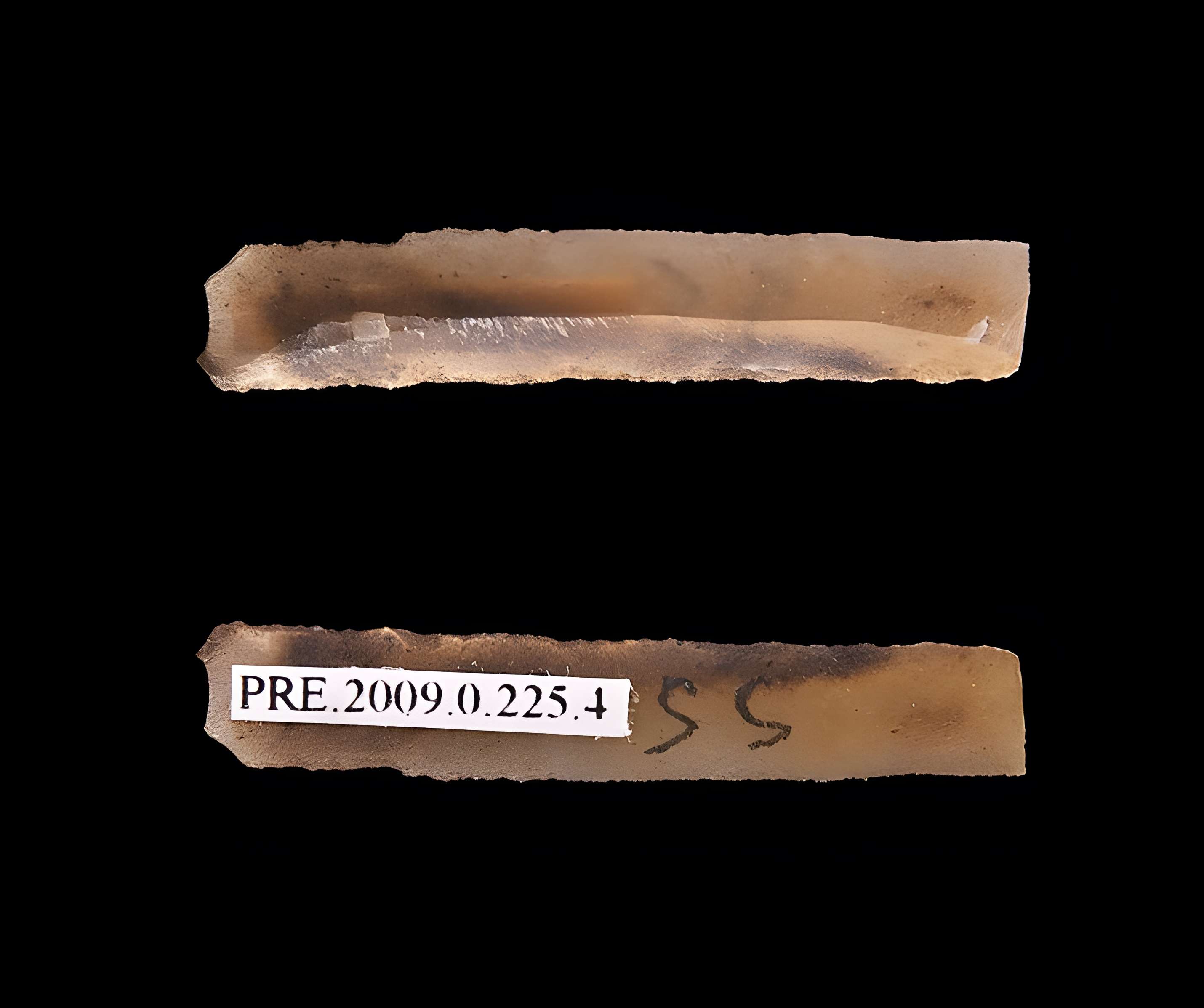 Gisement et grottes constituant l'abri dit du Placard