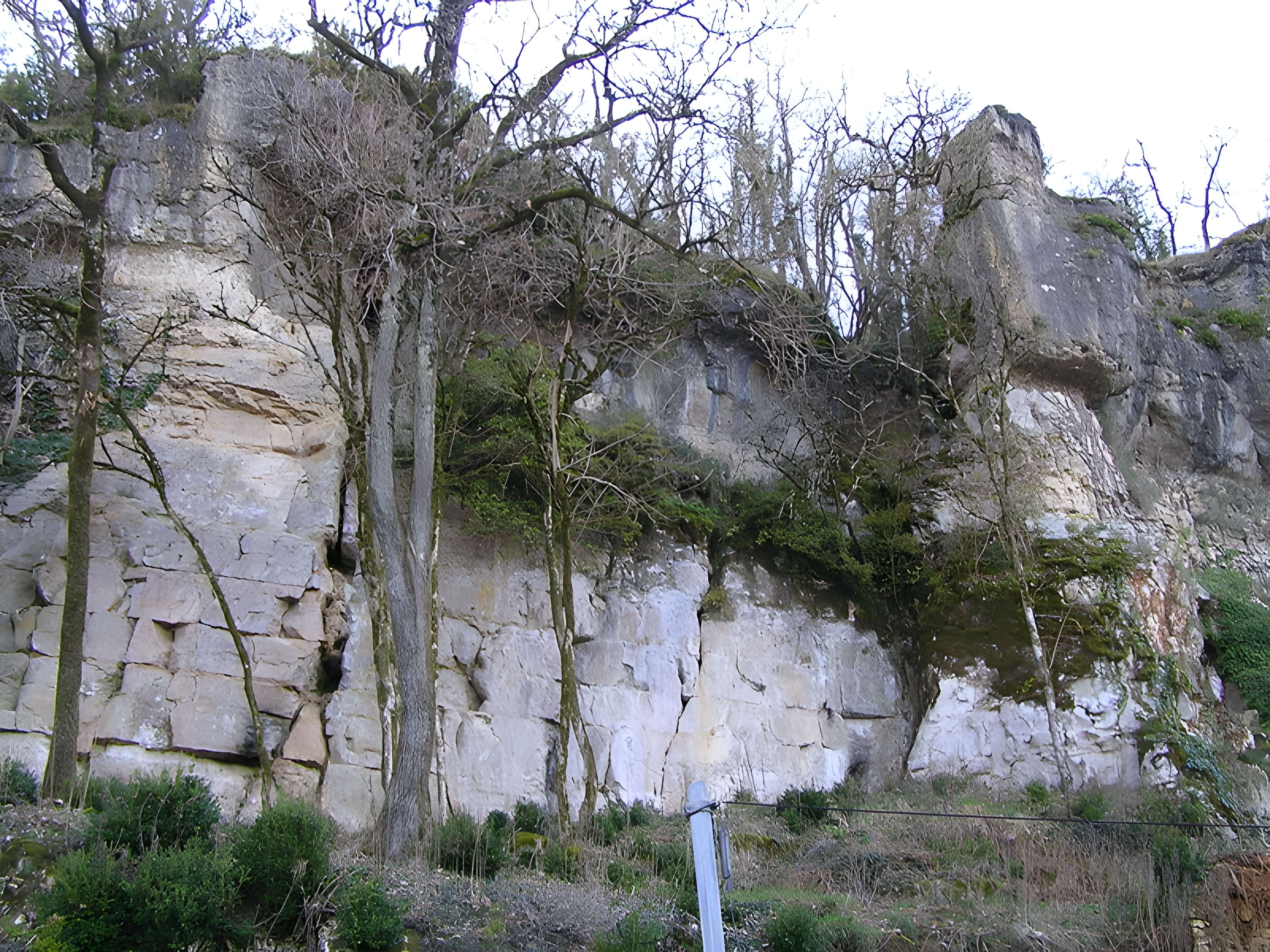 Gisement et grottes constituant l'abri dit du Placard
