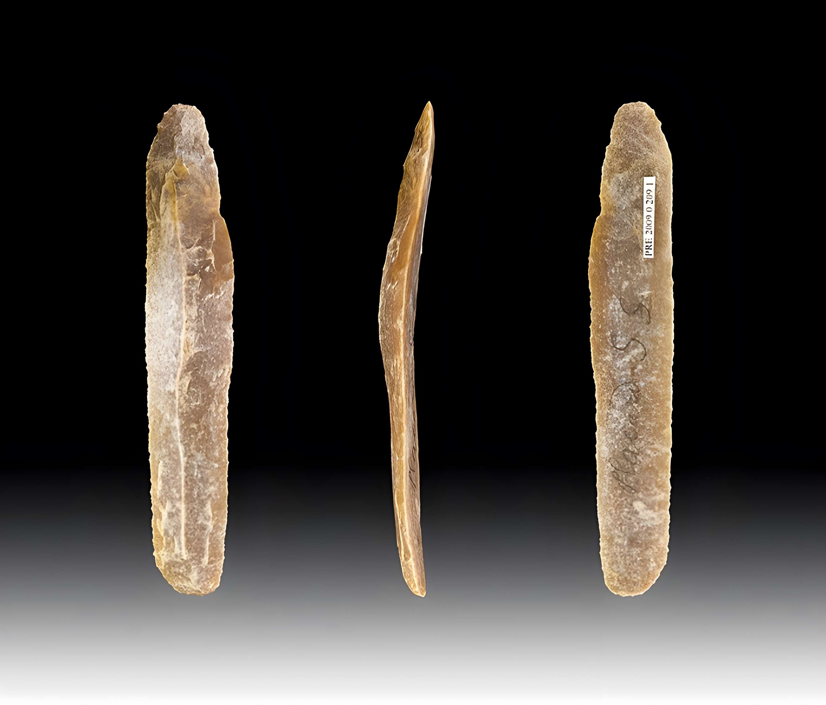 Gisement et grottes constituant l'abri dit du Placard