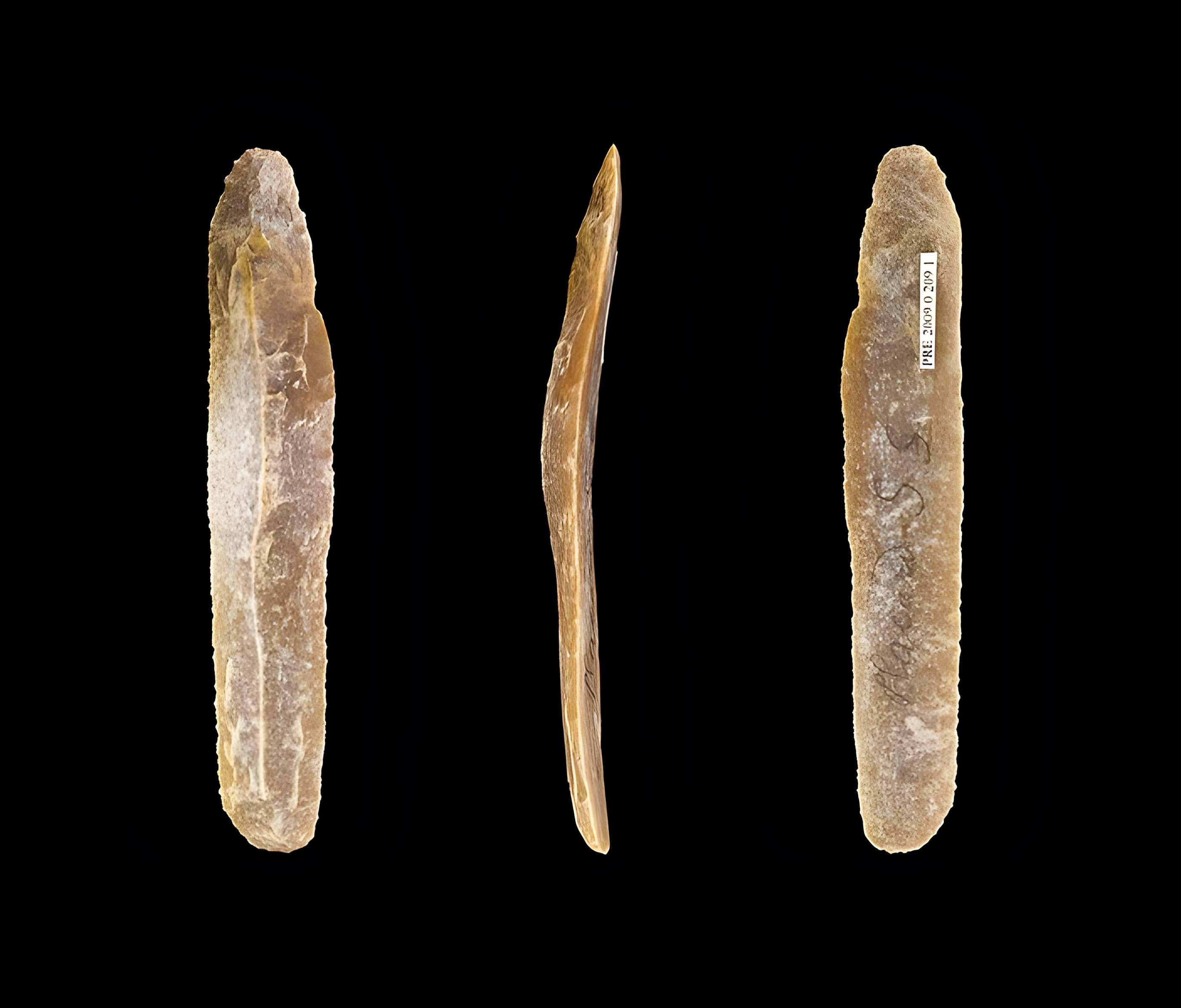 Gisement et grottes constituant l'abri dit du Placard