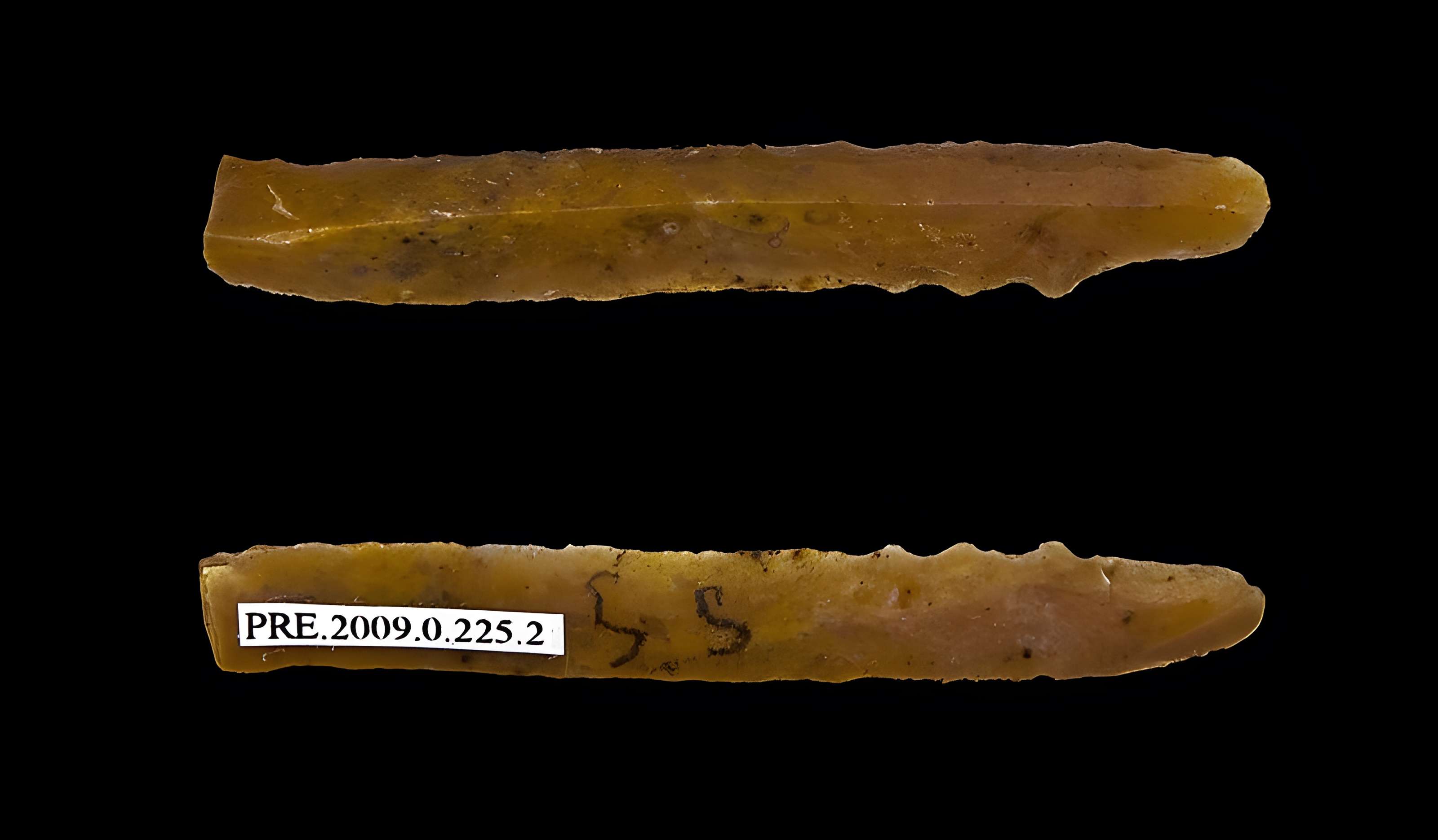 Gisement et grottes constituant l'abri dit du Placard