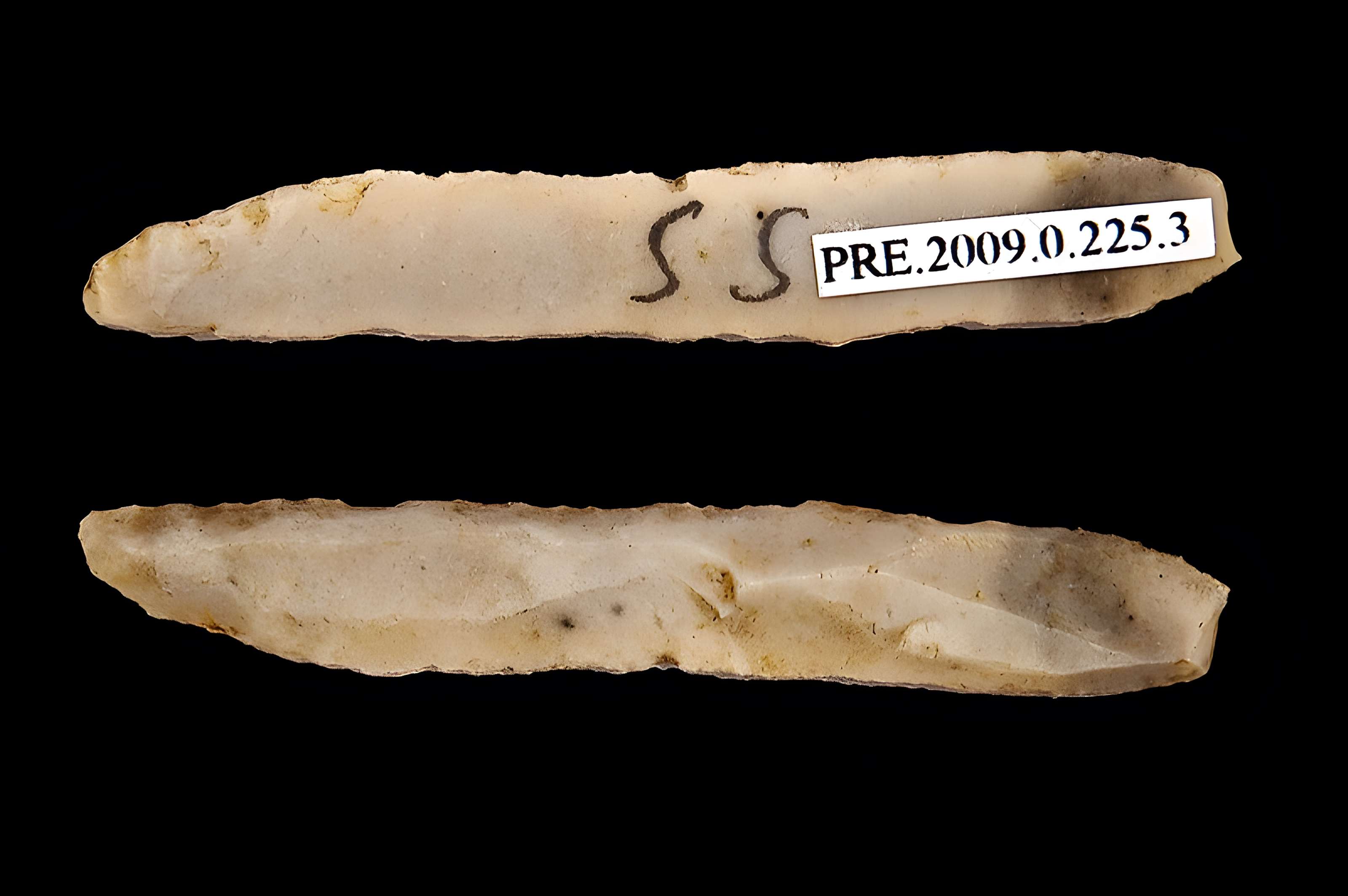 Gisement et grottes constituant l'abri dit du Placard