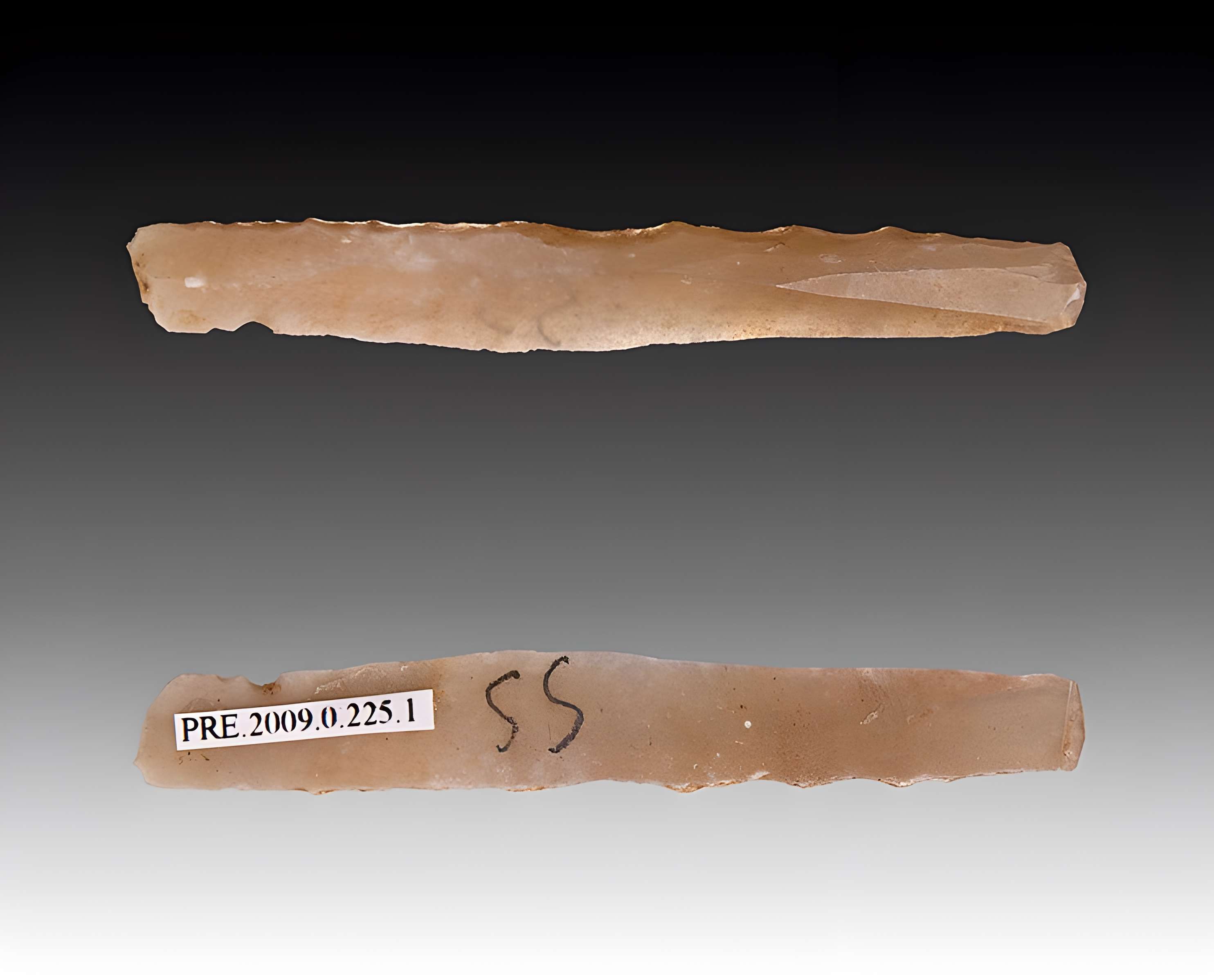 Gisement et grottes constituant l'abri dit du Placard