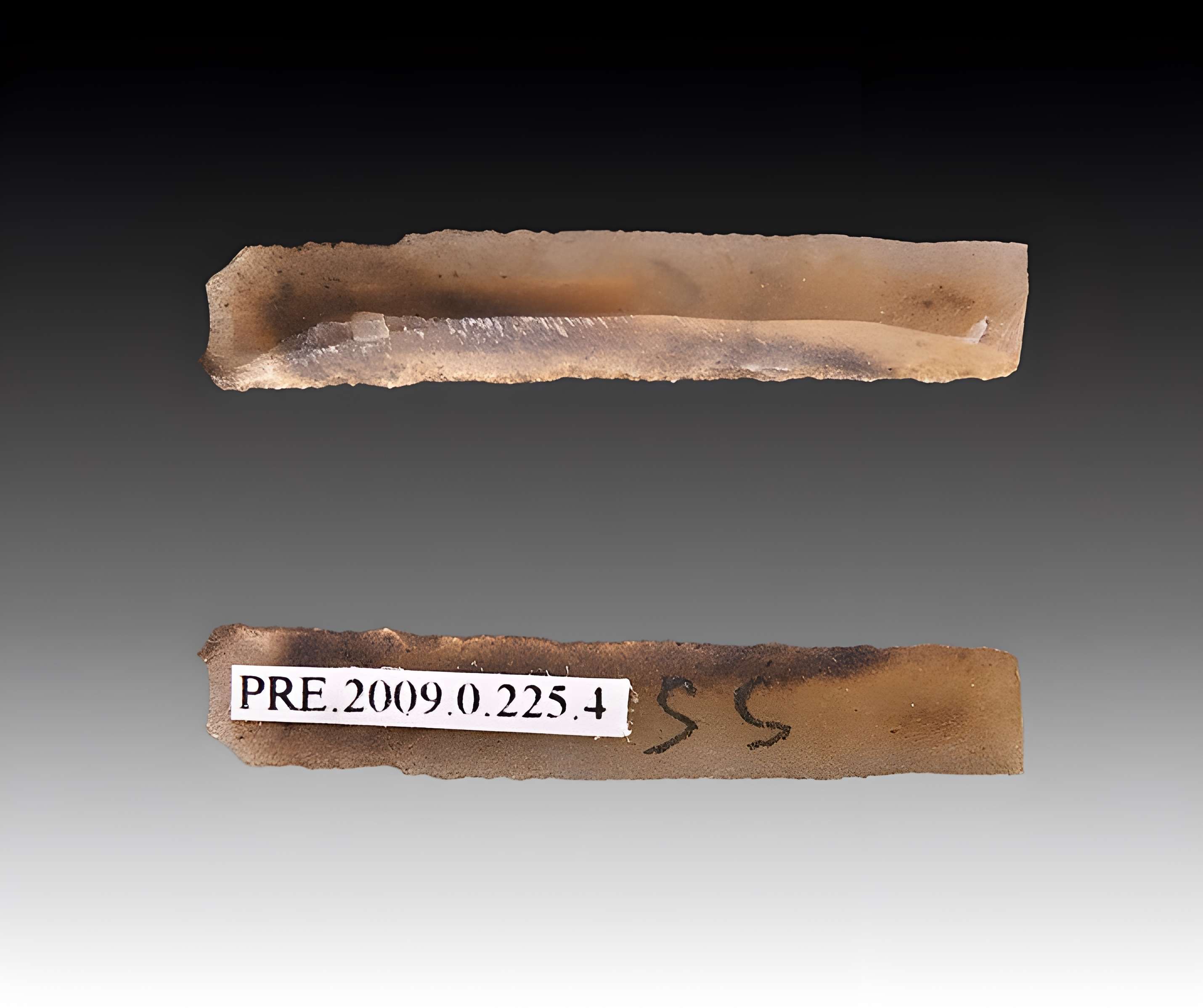 Gisement et grottes constituant l'abri dit du Placard