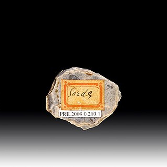 Photo de Grotte Duruthy à Sorde-lAbbaye