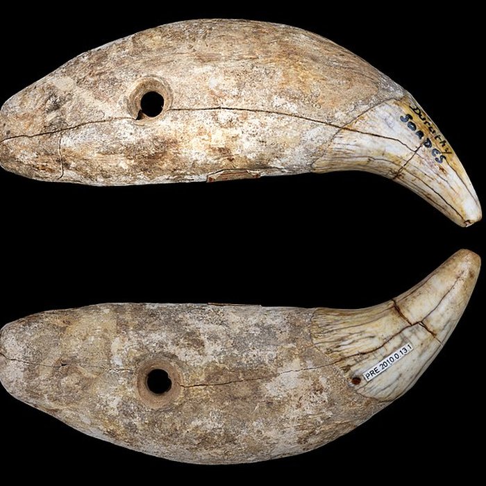 Photo de Grotte Duruthy à Sorde-lAbbaye