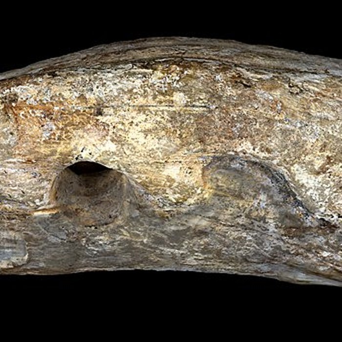 Photo de Grotte Duruthy à Sorde-lAbbaye