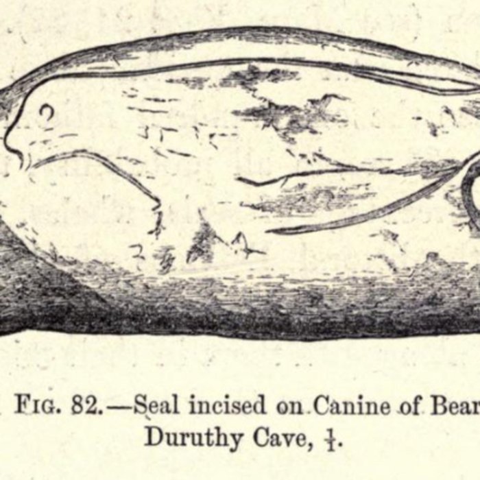 Photo de Grotte Duruthy à Sorde-lAbbaye