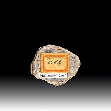 Grotte Duruthy à Sorde-lAbbaye